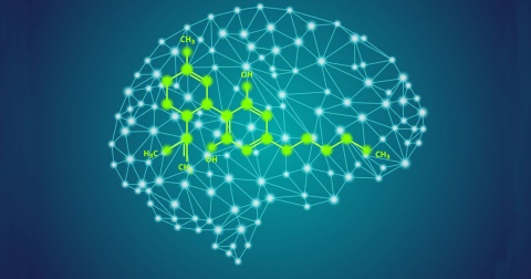 The Brain and Addiction