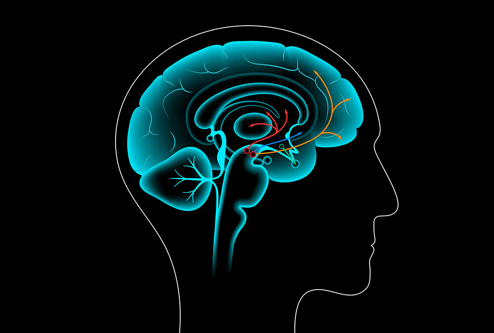 Dopamine