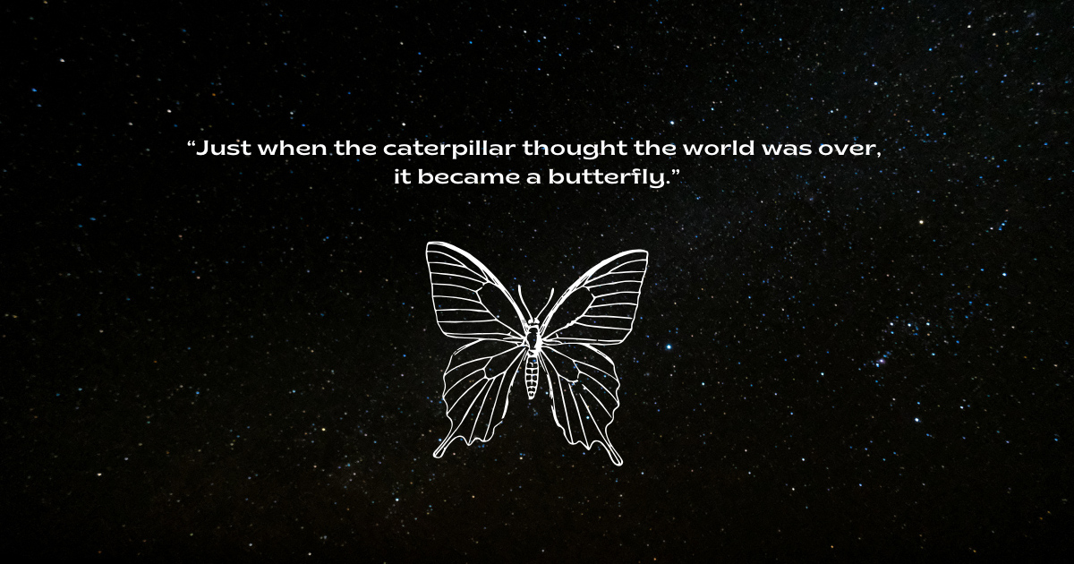 Butterfly Recovery Quotes