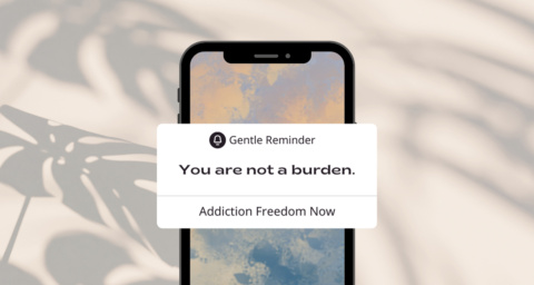 Recovery Reflections